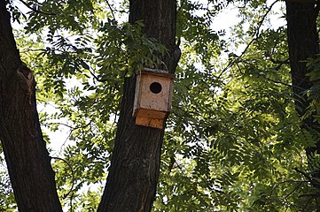 Поставени куќички за птици