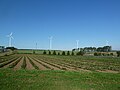 Gesamtansicht Windpark Rebgeshain