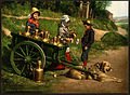 A photochrom of Belgian milk peddlers with a dogcart, c. 1890–1900. Already an FP, see File:Dogcart3.jpg.