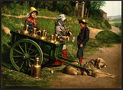 A photochrom from the late 19th century showing two peddlers selling milk from a dogcart near Brussels, Belgium