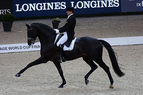 Edward Gal on Glock's Zonik N.O.P. at the FEI Dressage World Cup in 2018