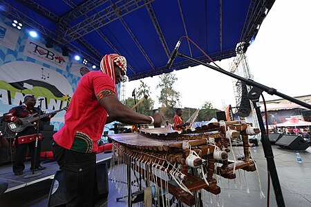 A traditional instrumentalist performing at the Amani Festival