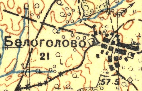 План деревни Белоголово. 1931 год