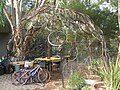 Bicycle wheel dome at CERES