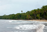 Cahuita National Park.