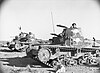 Captured Italian M13/40 and M11/39 tanks at Tobruk with Australian markings, January 1941
