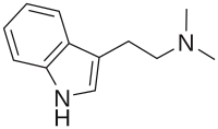 N,N-Dimethyltryptamine (DMT) a powerful psychedelic compound which is present in several plant species found across the globe, commonly found in Mimosa and Acacia species but has also been discovered in grasses such as Philaris Aquatica.