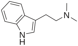 Dimetyylitryptamiini