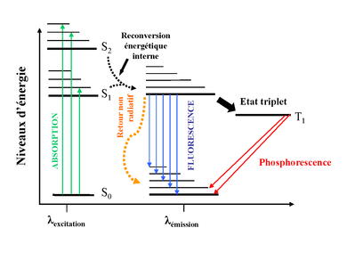 Diagramme de Jablonski schématisant les transitions radiatives entre un niveau excité S1 vers le fondamental S0 dans le cas de la phosphorescence et de la fluorescence. Consulter le texte entourant l'image pour une description complète.