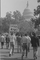 Vignette pour la version du 30 juillet 2011 à 18:50