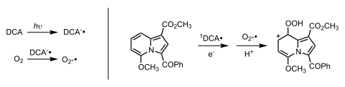 Indolizine superoxide photooxygenation