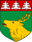 Blason de Commune de Jõhvi