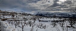 Laqlouq Valley