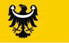 Flag of Brzeg County