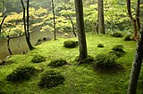 Saihō-ji's moss garden is both a Special Place of Scenic Beauty　and a Historic Site
