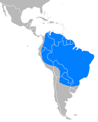 Distribución de T. terrestris