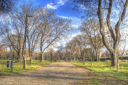 Le parc au printemps.