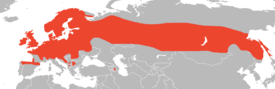 Sisiliskon levinneisyys Euraasiassa.