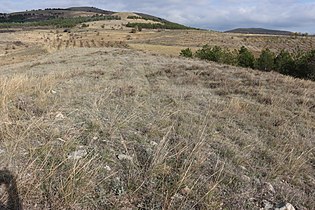 Теренот на наоѓалиштето и наоѓалиштето Јокуш во позадина