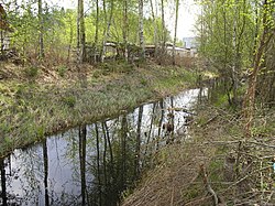 Лебяжья в Красногорских покосах