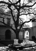 Arms Courtyard in 1981