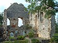 Ruine du château du coseigneur.