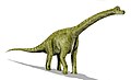 Brachiosaurus