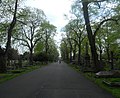 Central avenue, from North Lodge Brompton Cemetery