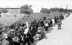 Black and white photo of Polish civilians leaving Warsaw under guard by German soldiers