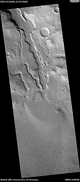 Valleys and possible delta with Cerulli Crater, as seen by HiRISE