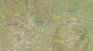 Flooding in January 2010 greened the land, especially near the rivers. This colouring, however, is exaggerated somewhat by NASA's use of both visible and infrared light in all three images.