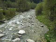 Le ruisseau Cismon à Mezzano.