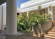 Foliage near Cuesta College's Building 6300 stairwell is shown in 2022.