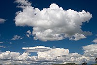 Cumulus Clouds