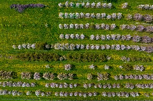 23. Platz: Ermell mit Kirschgarten bei Lützelsdorf im LSG Fränkische Schweiz