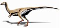 Limusaurus