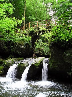 Mullerthal au Luxembourg. (définition réelle 448 × 599*)