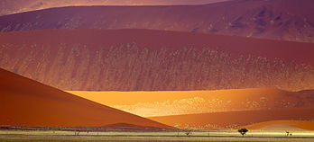 Dunes de sable du parc national de Namib-Naukluft. (définition réelle 4 000 × 1 819)