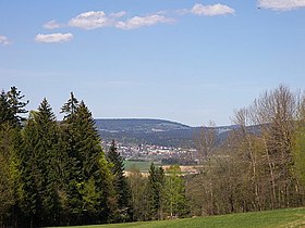 Neureichenau