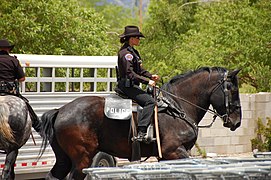 Par la police montée des États-Unis, 2008.