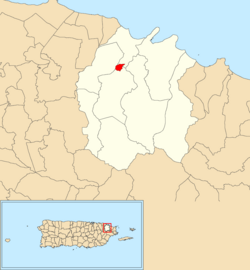Location of Río Grande barrio-pueblo within the municipality of Río Grande shown in red