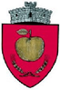 Coat of arms of Rădășeni