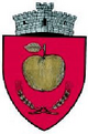 Rădășeni – Stemma