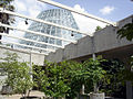 Lucile Halsell Conservatory (Palm & Cycad Pavilion from Main Courtyard)