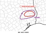 SPC Mesoscale Discussion #445