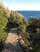 Chemin d'accès au sommet du parc.