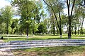 Shevchenko Park in Pereshchepyne