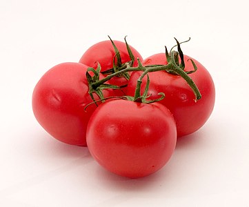طماطم (بندورة) كرميَّة