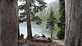 Fir trees dominate the landscape around Wasco Lake.