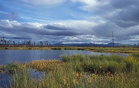 Marécages de la réserve naturelle de Magadan.